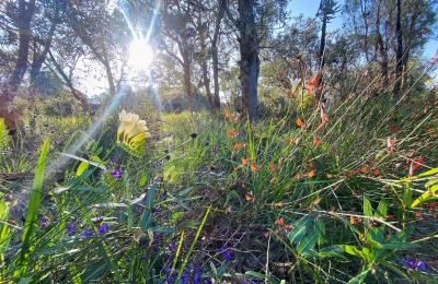 3-Bedroom, 2-Bathroom Dual Occupancy in Providence Estate, Wellard, WA